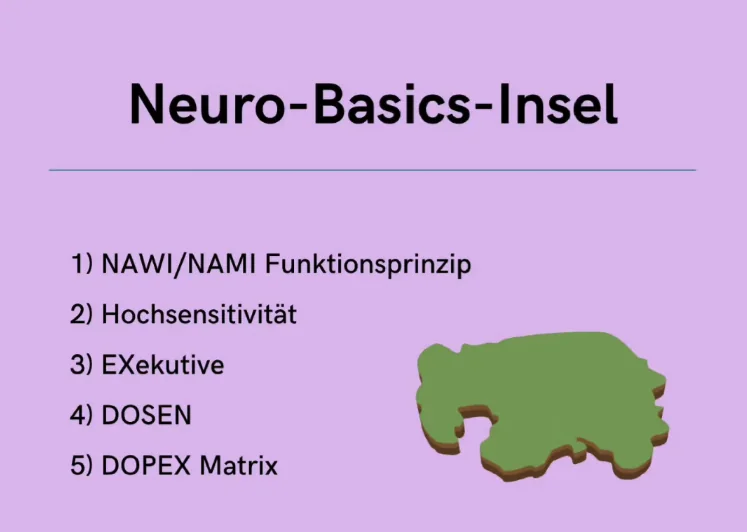Neuro-Basics-Insel